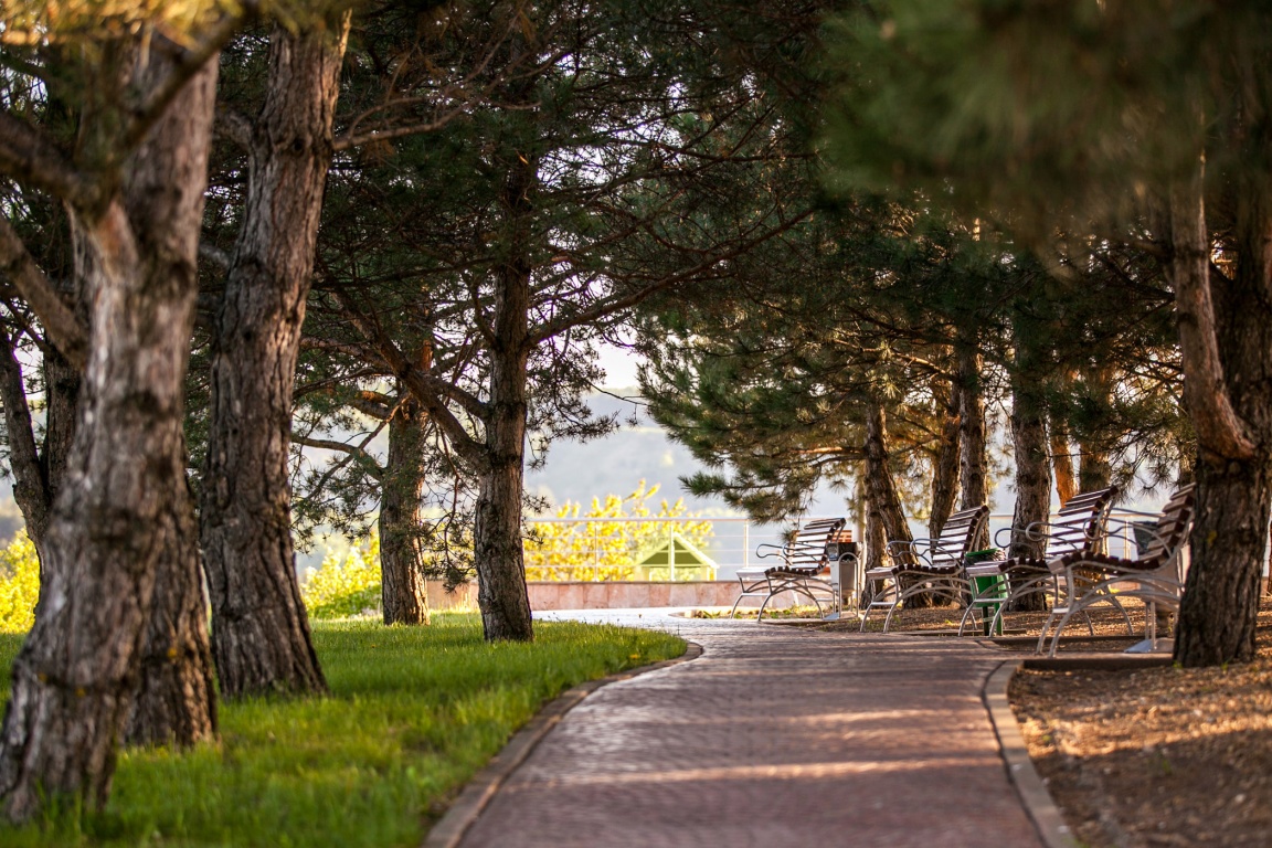 Фотография санатория «Заря»